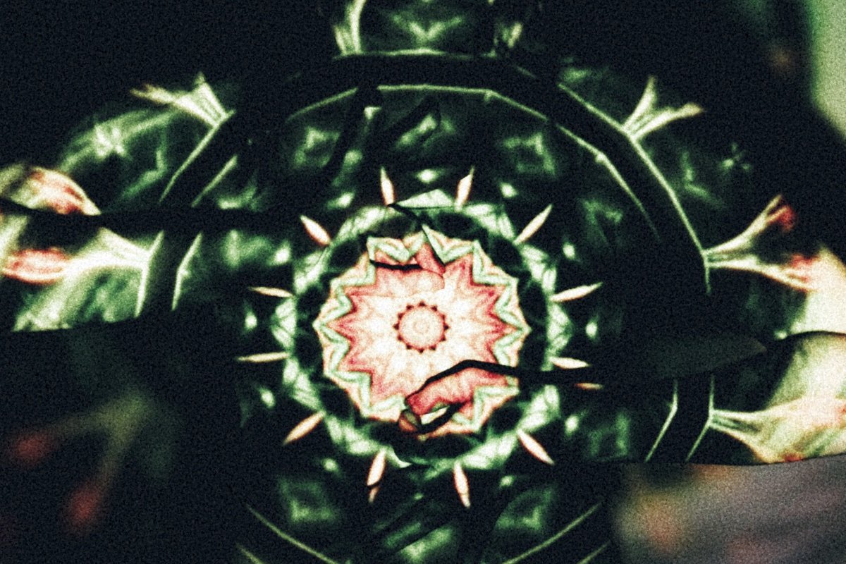 Krautrock: The Sound of Forward Motion